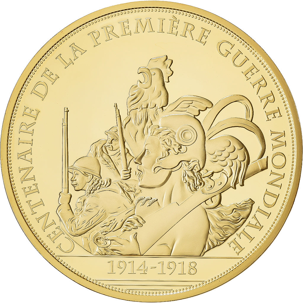 Francia, medaglia, Centenaire de la Première Guerre Mondiale, Armistice, Rame