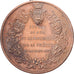 Frankrijk, Medaille, Choléra, Seine Inférieure, 1884, Koper, Lecomte, ZF