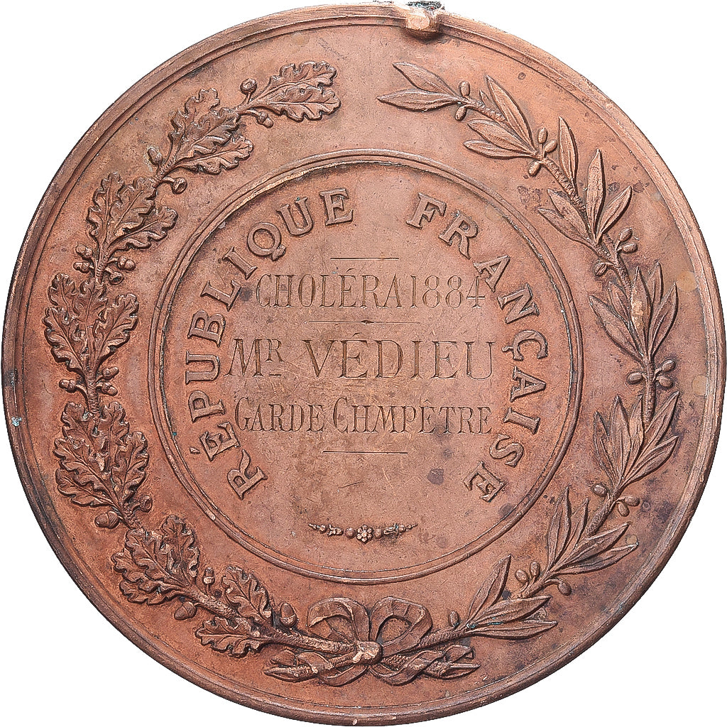 Frankrijk, Medaille, Choléra, Seine Inférieure, 1884, Koper, Lecomte, ZF