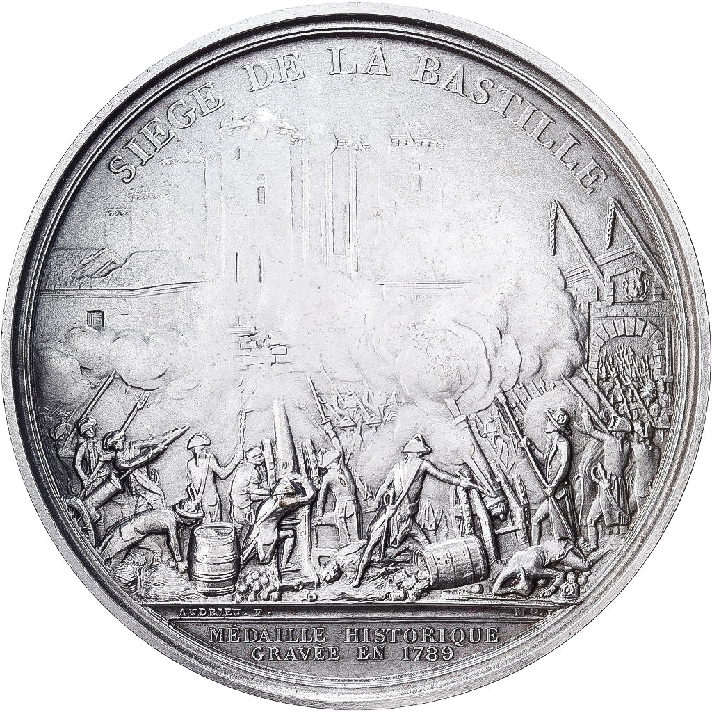 Francia, medaglia, Révolution Française, Siège de la Bastille, 1989, Bronzo
