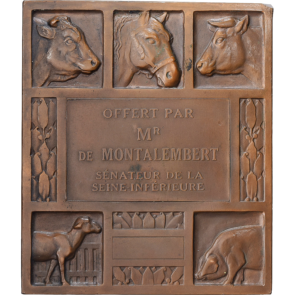França, medalha, Offert par M. de Montalaembert, Sénateur, Bronze, Morlon