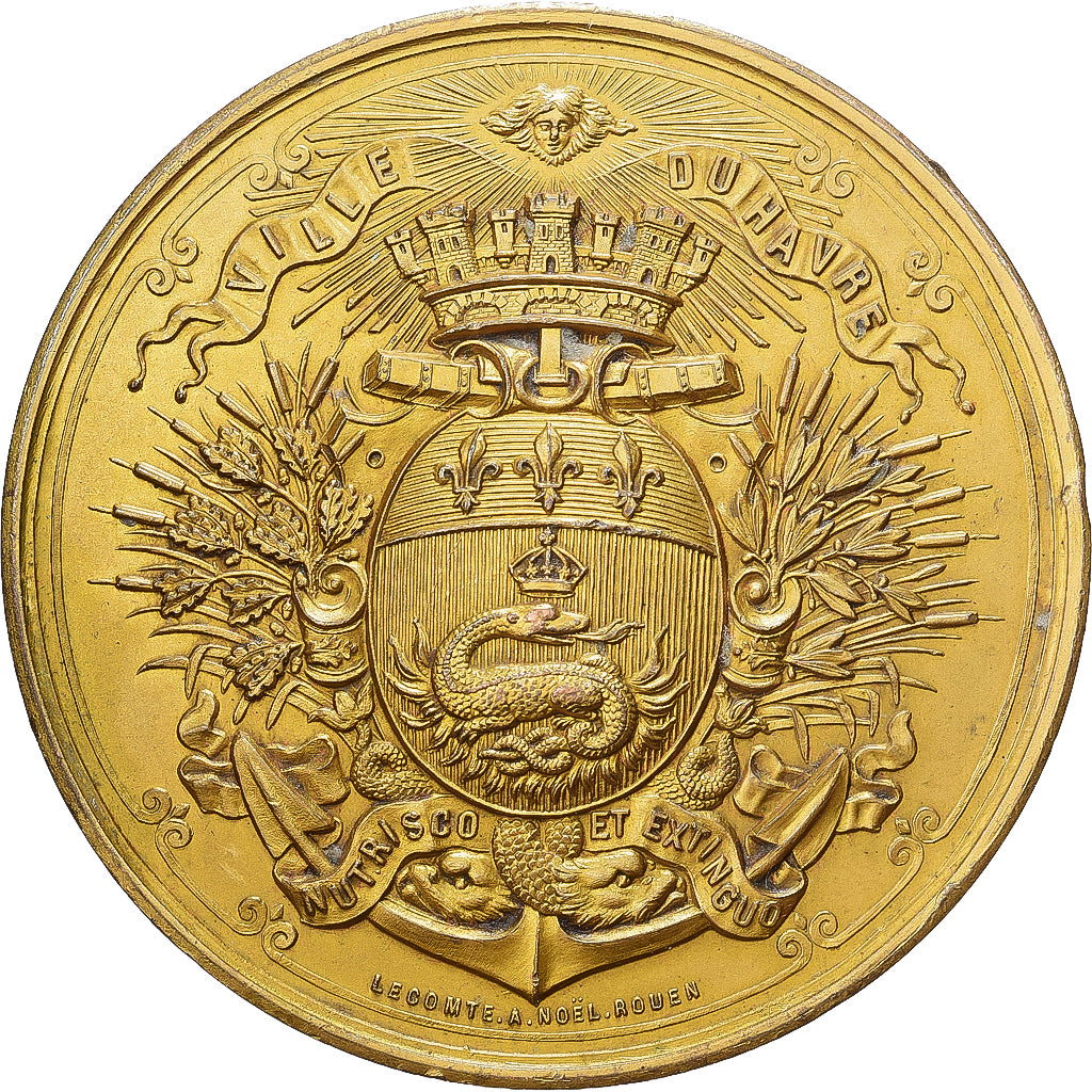 Frankrijk, Medaille, Concours International de Musique, Hâvre, 1894, Gilt