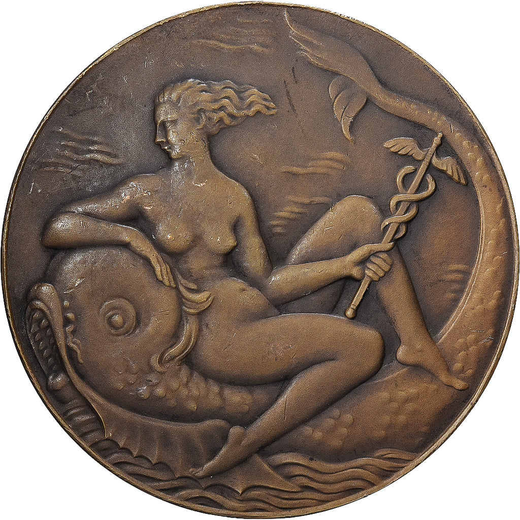 Francia, medaglia, Ville du Havre, Bronzo, Poisson, BB+