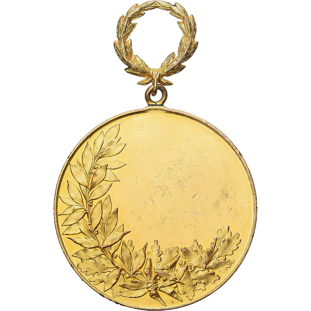 Frankreich, Medaille, Brevet de Capacité, Ville du Havre, Copper Gilt, VZ