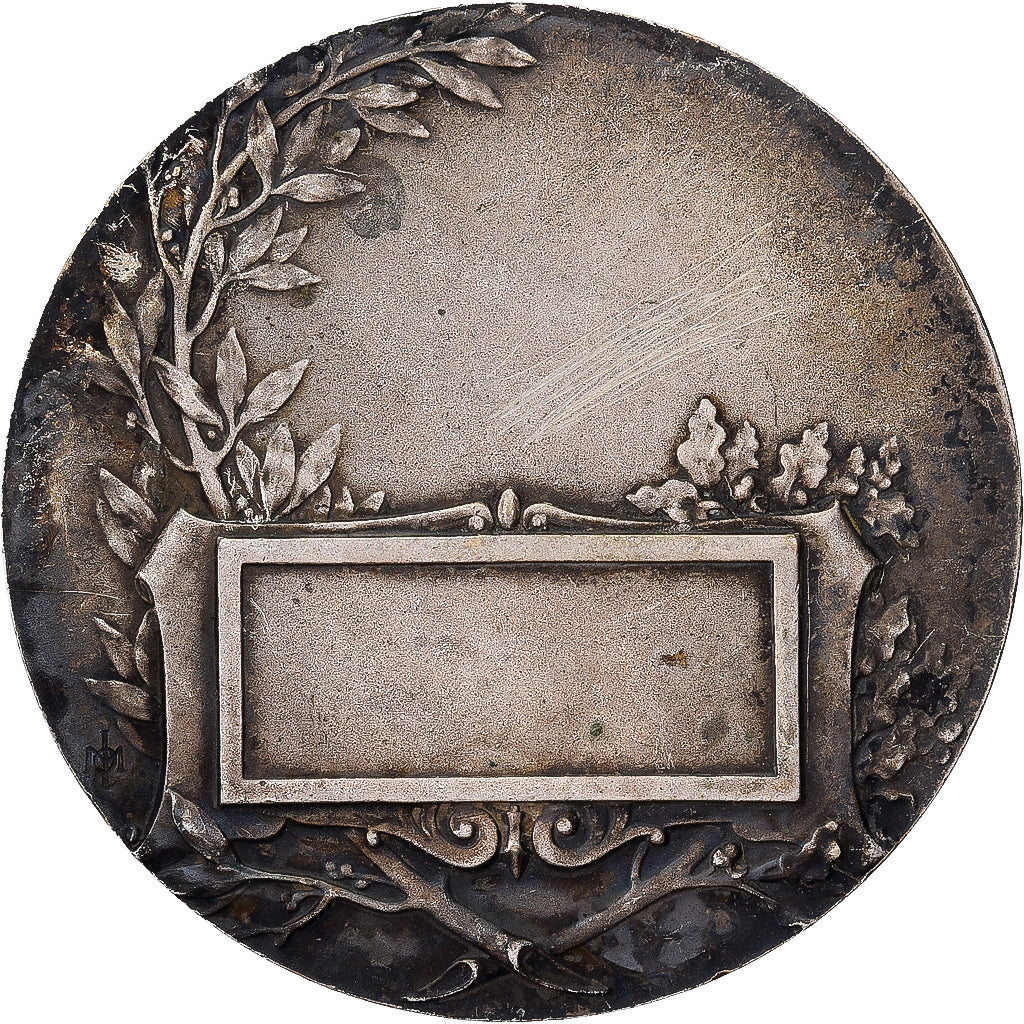 France, Medal, Femme aux Rameaux, Silvered bronze, EF(40-45)