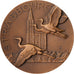 Francia, medalla, Cigognes, Natation, Tournoi des VI Nations, Strasbourg, 1966