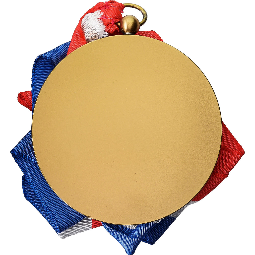 Francia, medaglia, Championnats d'Europe de Natation, Strasbourg, 1987, Bronzo