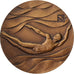 Russia, Medal, Natation, Moscou,, 1975, Bronze, AU(55-58)
