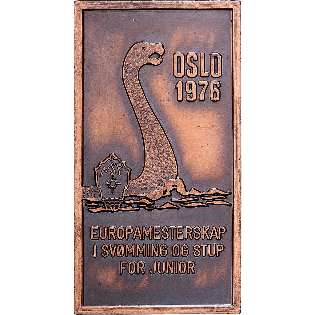 Norwegen, Medaille, Europamesterskap I Svomming og Stup For Junior, Oslo, 1976