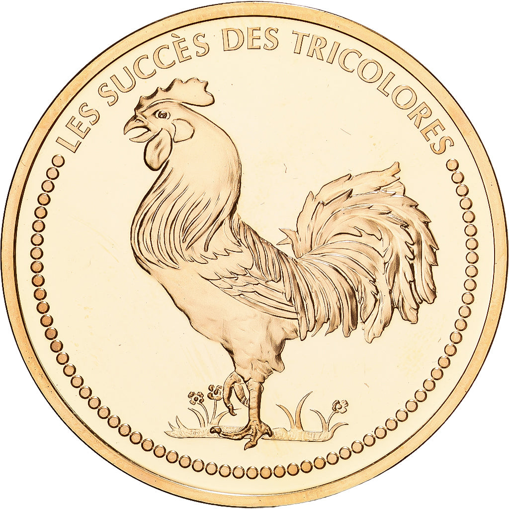 France, Medal, La France, Champion du Monde de Football, 1998, Copper Gilt