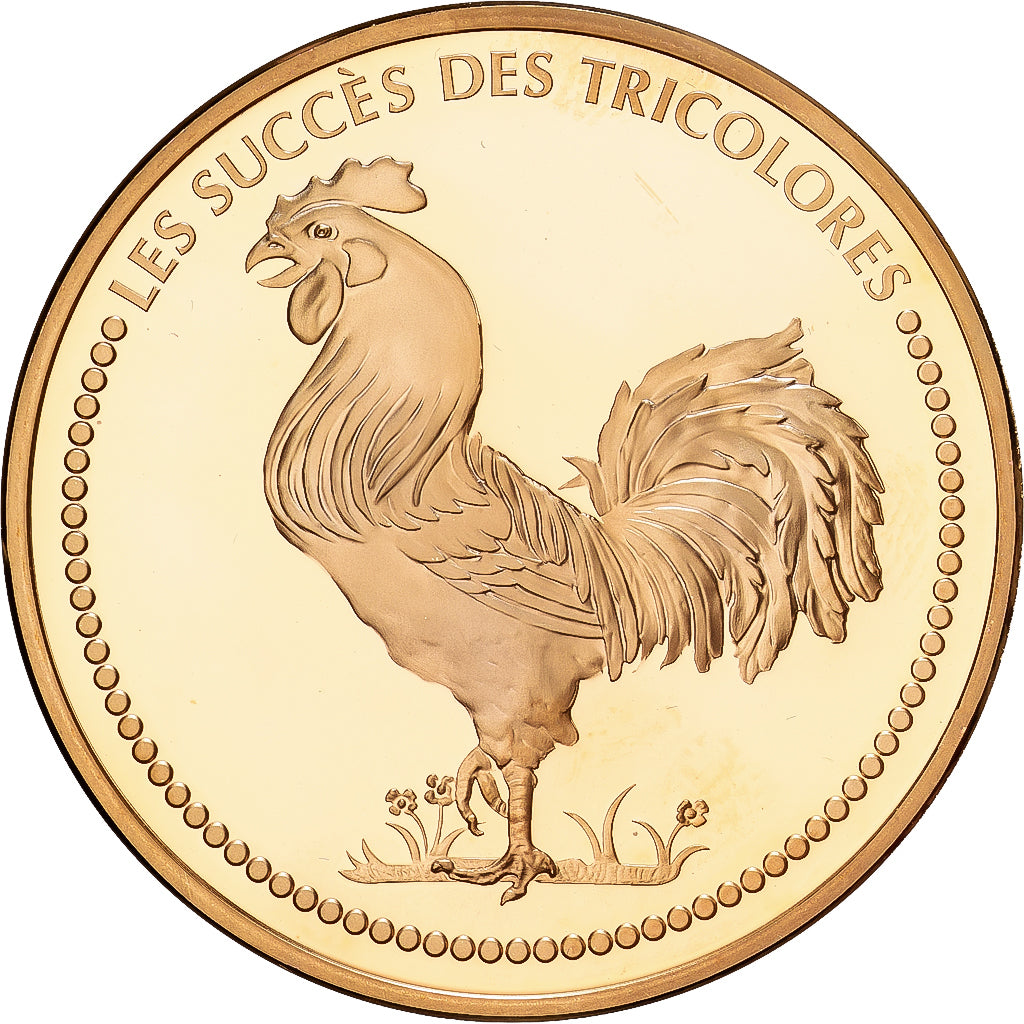 France, Medal, Football, la France, Champion d'Europe, 1984, Copper Gilt, MS(63)