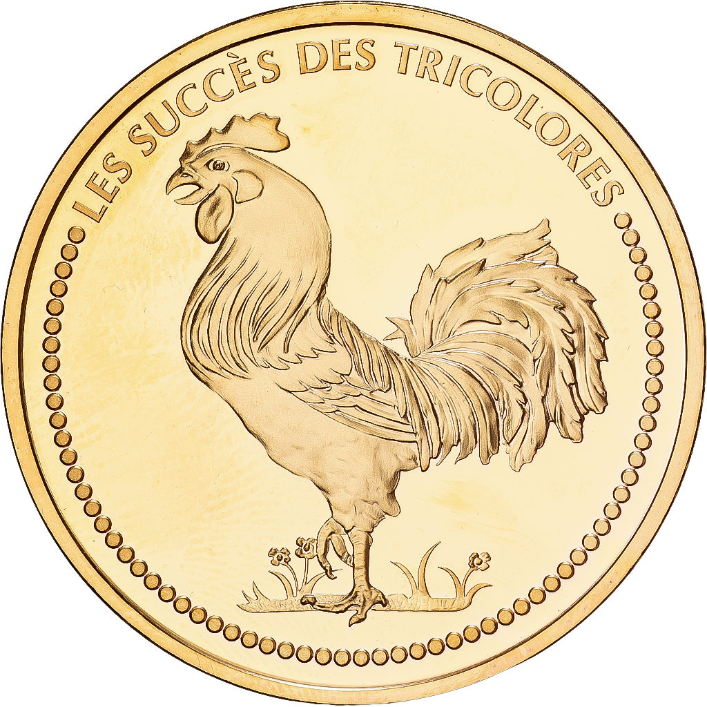 Frankreich, Medaille, Finale de la Coupe du Monde à Berlin, 2006, Copper Gilt