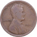 USA, Cent, Lincoln Cent, 1916, U.S. Mint, Brązowy, VF(20-25), KM:132