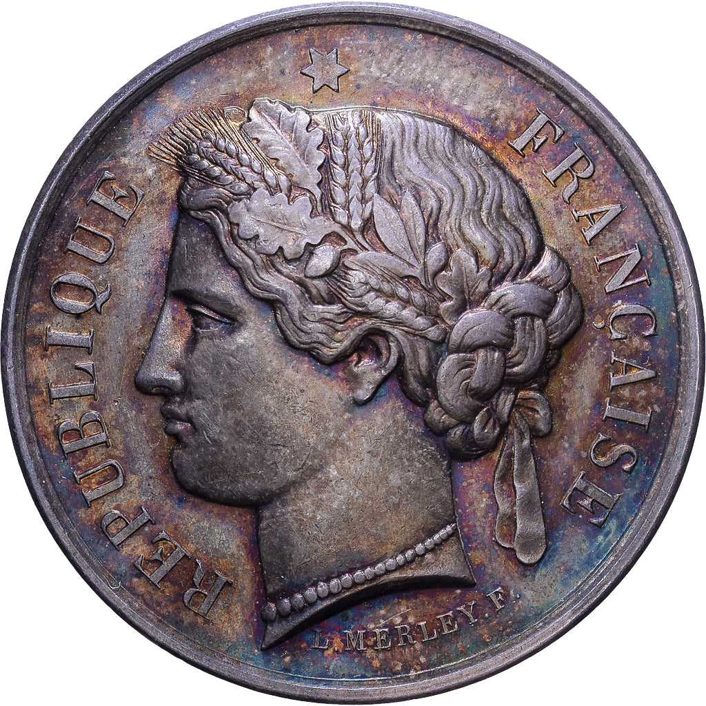 Francja, medal, Caisse d'Epargne de Lesparre, Srebro, MS(63)