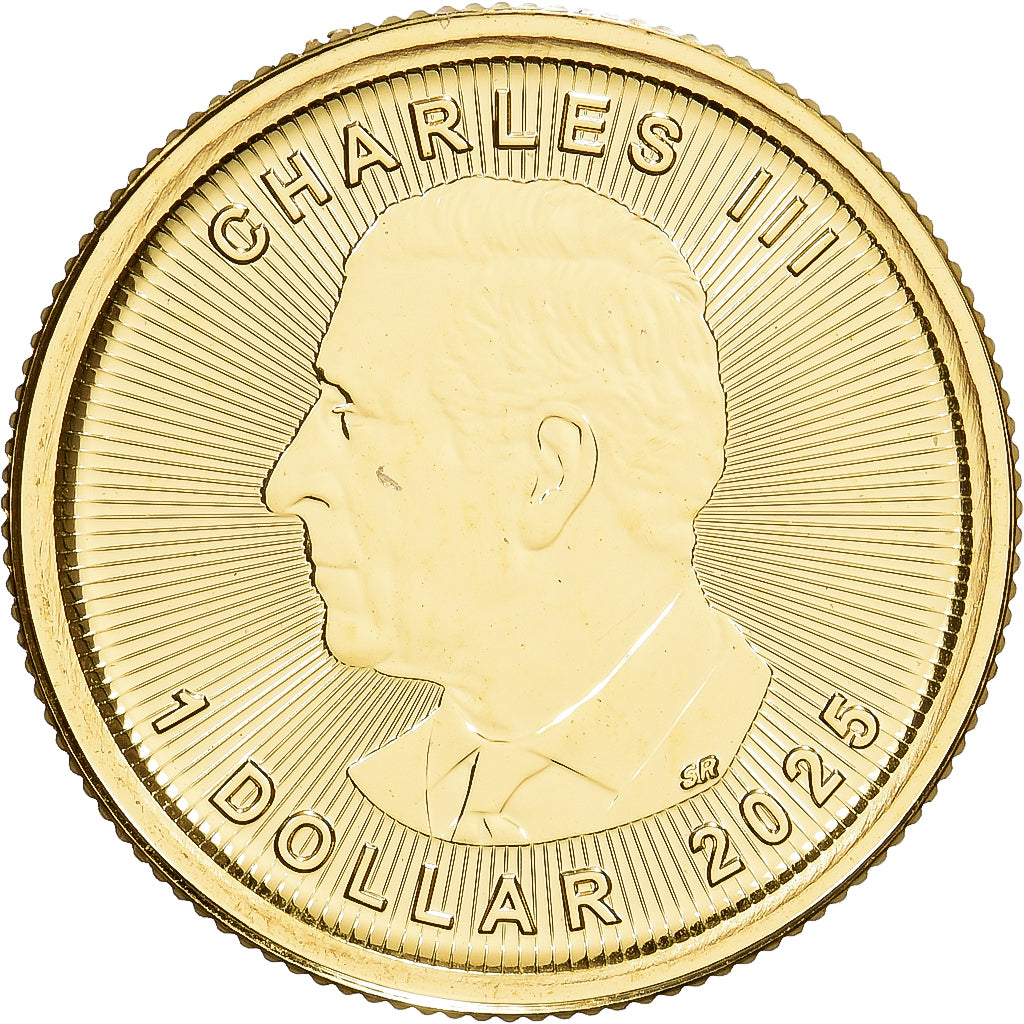 Canada, 1/20 Oz, Maple Leaf, 2025, Or, FDC