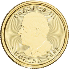 Canada, 1/20 Oz, Maple Leaf, 2025, Or, FDC