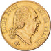 France, Louis XVIII, 40 Francs, Louis XVIII, 1824, Paris, Or, TTB, KM:713.1