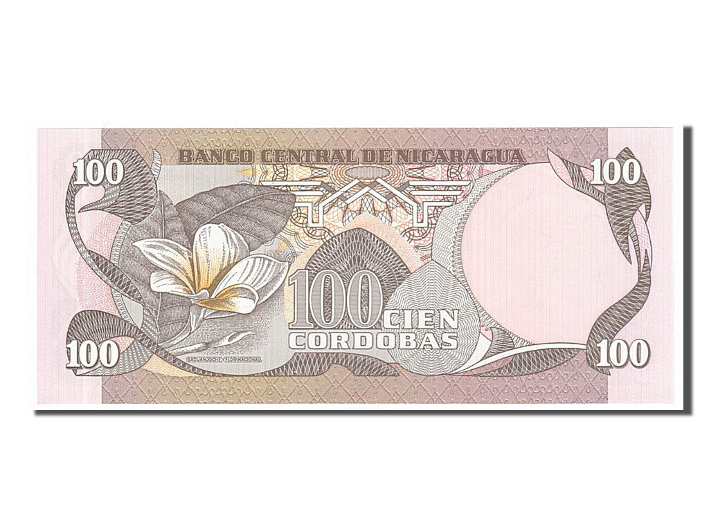 Banknote, Nicaragua, 100 Cordobas, 1985, UNC(65-70)