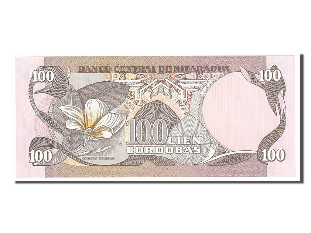 Banknote, Nicaragua, 100 Cordobas, 1985, UNC(65-70)