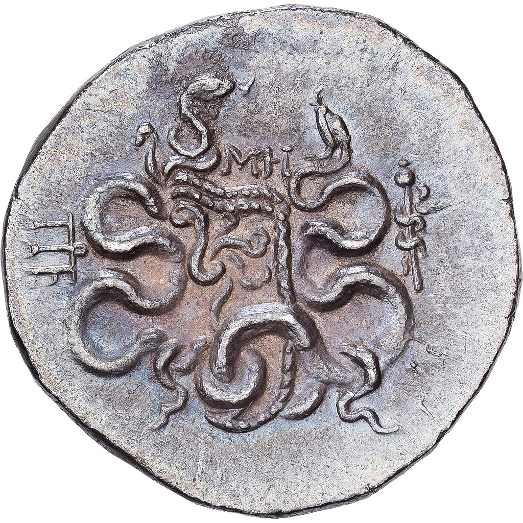 Myzja, Cistophorus, 104-98 BC, Pergamon, Srebro, AU(50-53)