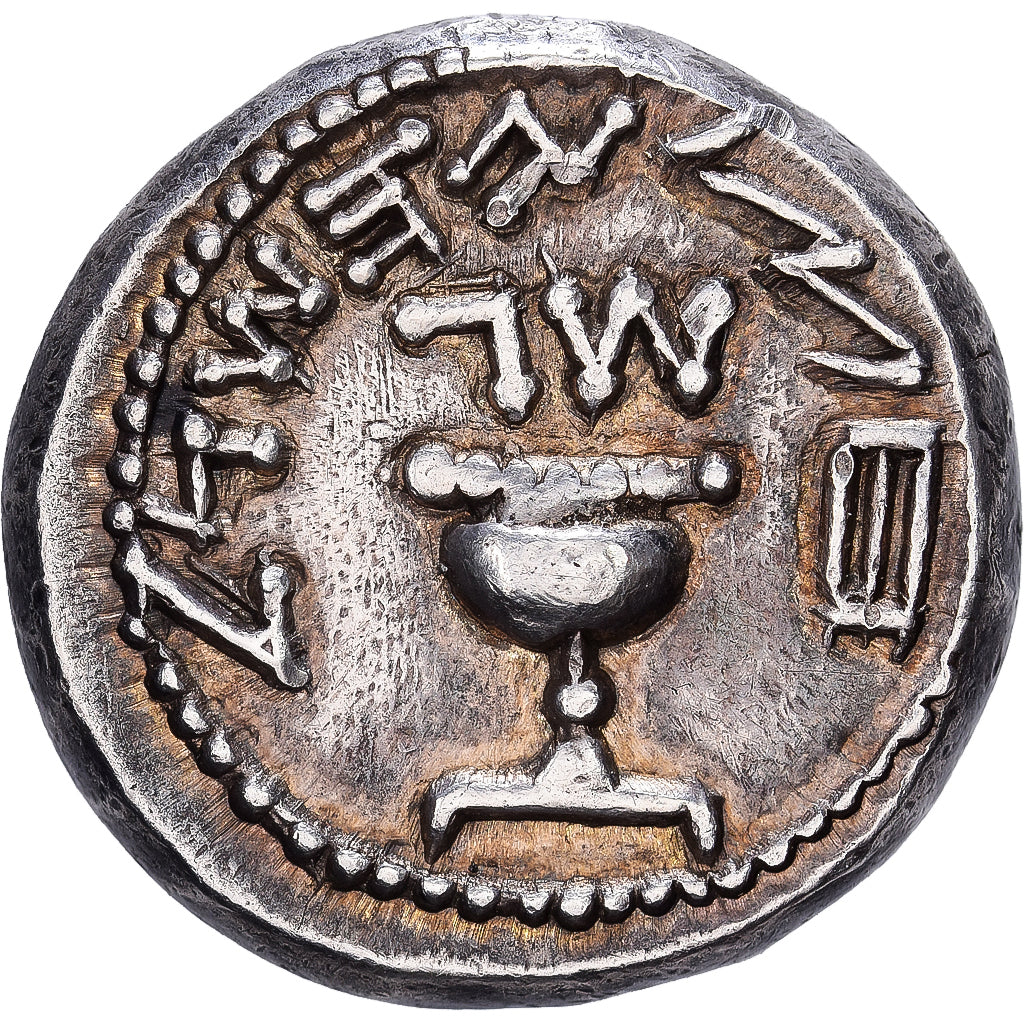 Israel, 1/2 Sheqel, Year 3 (68/69 AD), Jerusalem, Silver, AU(50-53)