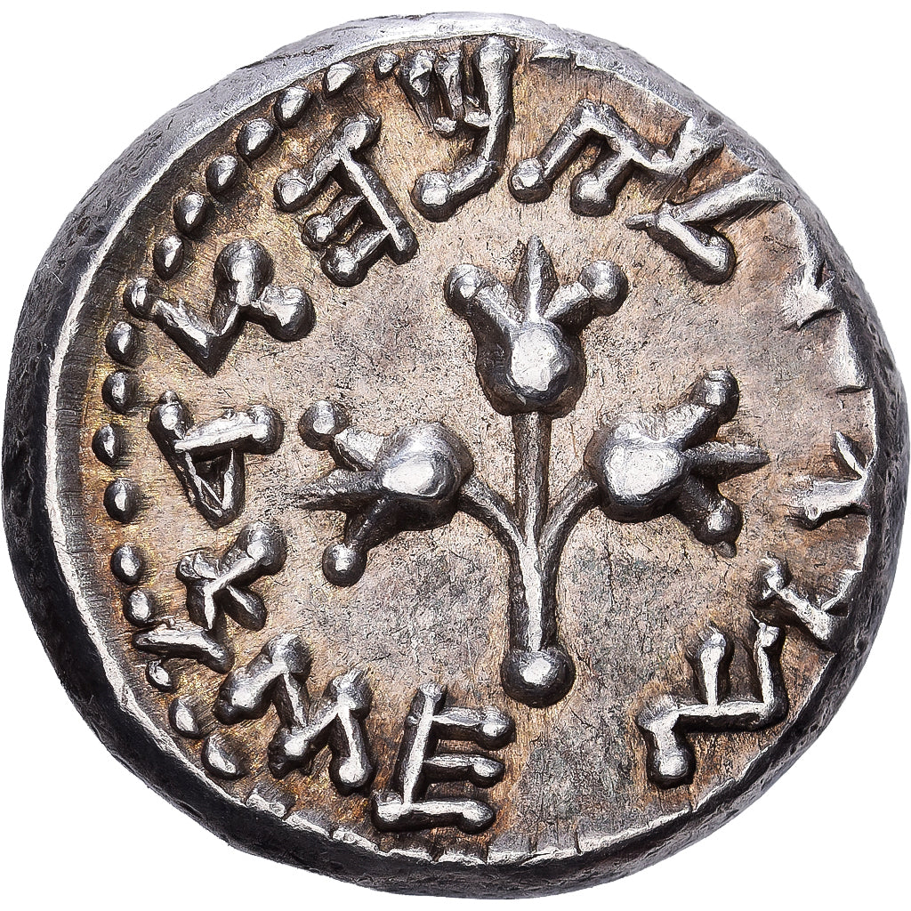 Israel, 1/2 Sheqel, Year 3 (68/69 AD), Jerusalem, Silber, SS+