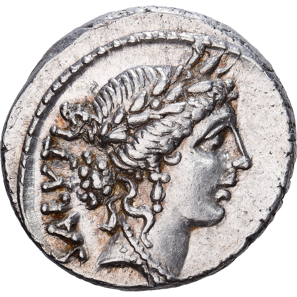 Roman Republic, Denarius, 49 BC, Rome, Srebro, MS(63), Crawford:442/1a