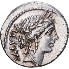 Roman Republic, Denarius, 49 BC, Rome, Silver, MS(63), Crawford:442/1a
