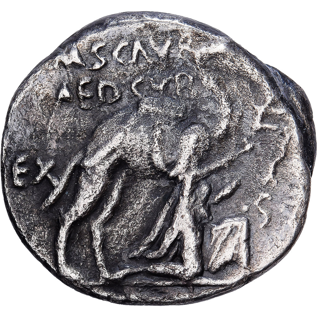 Roman Republic, Aemilia, Denarius, 58 BC, Rome, Silver, VF(20-25)