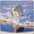 Canada, 1 Dollar, Polar Bear, 1996, Royal Canadian Mint, Proof, Bimetallic, FDC