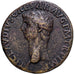 Roman Empire, Claudius, Dupondius, 41-50, Rome, Bronze, SS, RIC:94