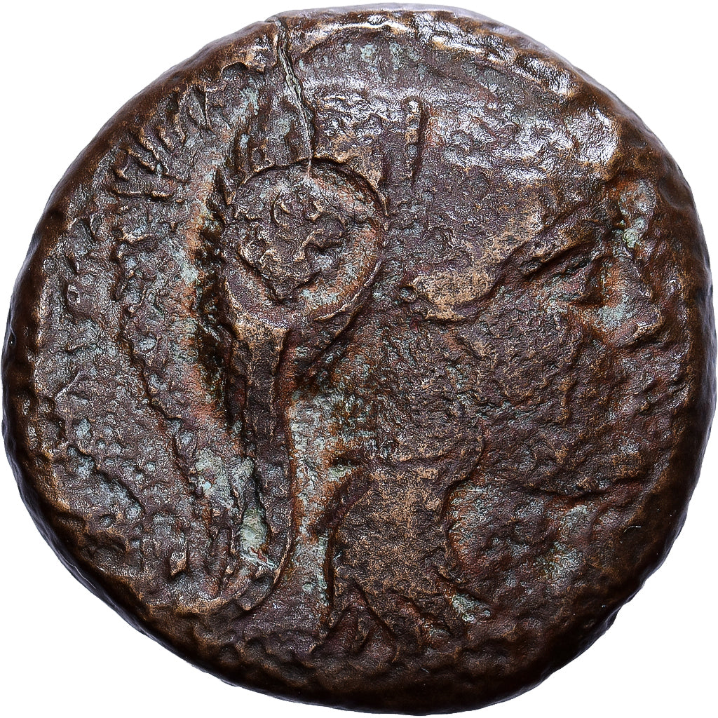 Kingdom of Macedonia, Antigonos Gonatas, Bronze Unit, 274-229, Uncertain Mint