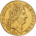 France, Louis XIV, louis d'or au soleil, 1711, Lyon, Gold, EF(40-45)