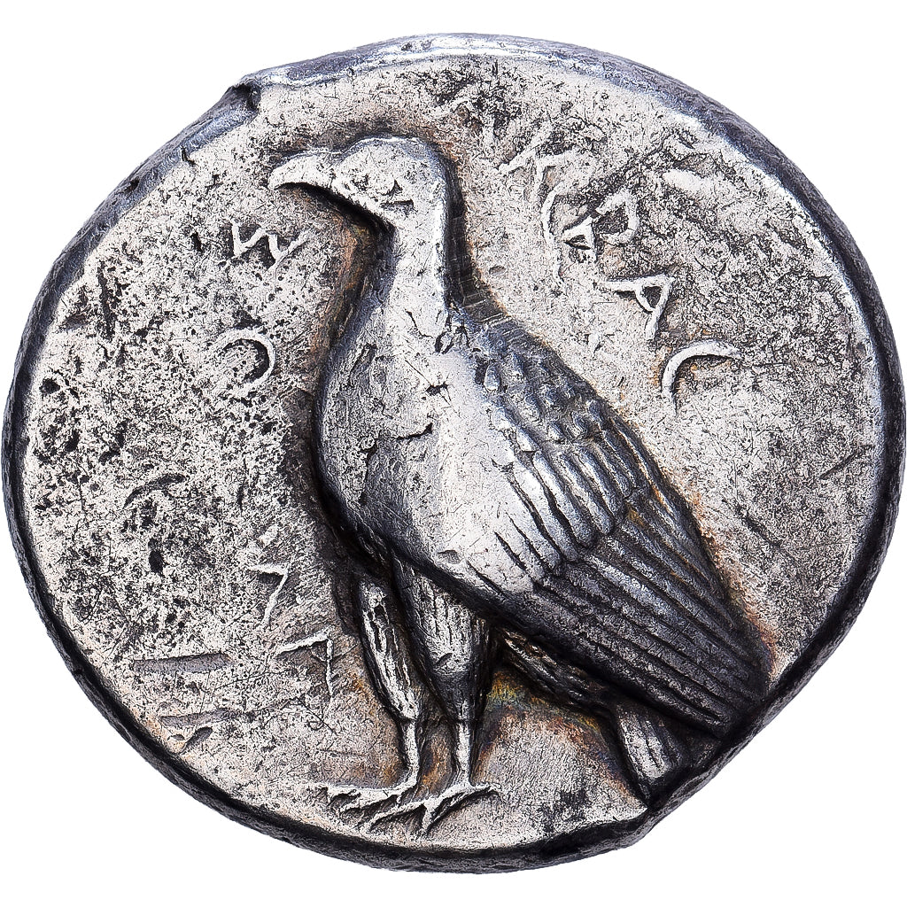 Sicily, Tetradrachm, 465/4-446 BC, Akragas, Silver, EF(40-45), SNG-ANS:964