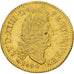 Francia, Louis XIV, Louis d'or aux 4 L, 1694, Lyon, réformé, Oro, BC+
