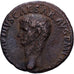 Roman Empire, Claudius, As, 50-54, Rome, Brązowy, EF(40-45), RIC:116