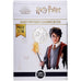France, 10 Euro, Harry Potter et la coupe de feu (7/18), 2021, MDP, Billon, SPL