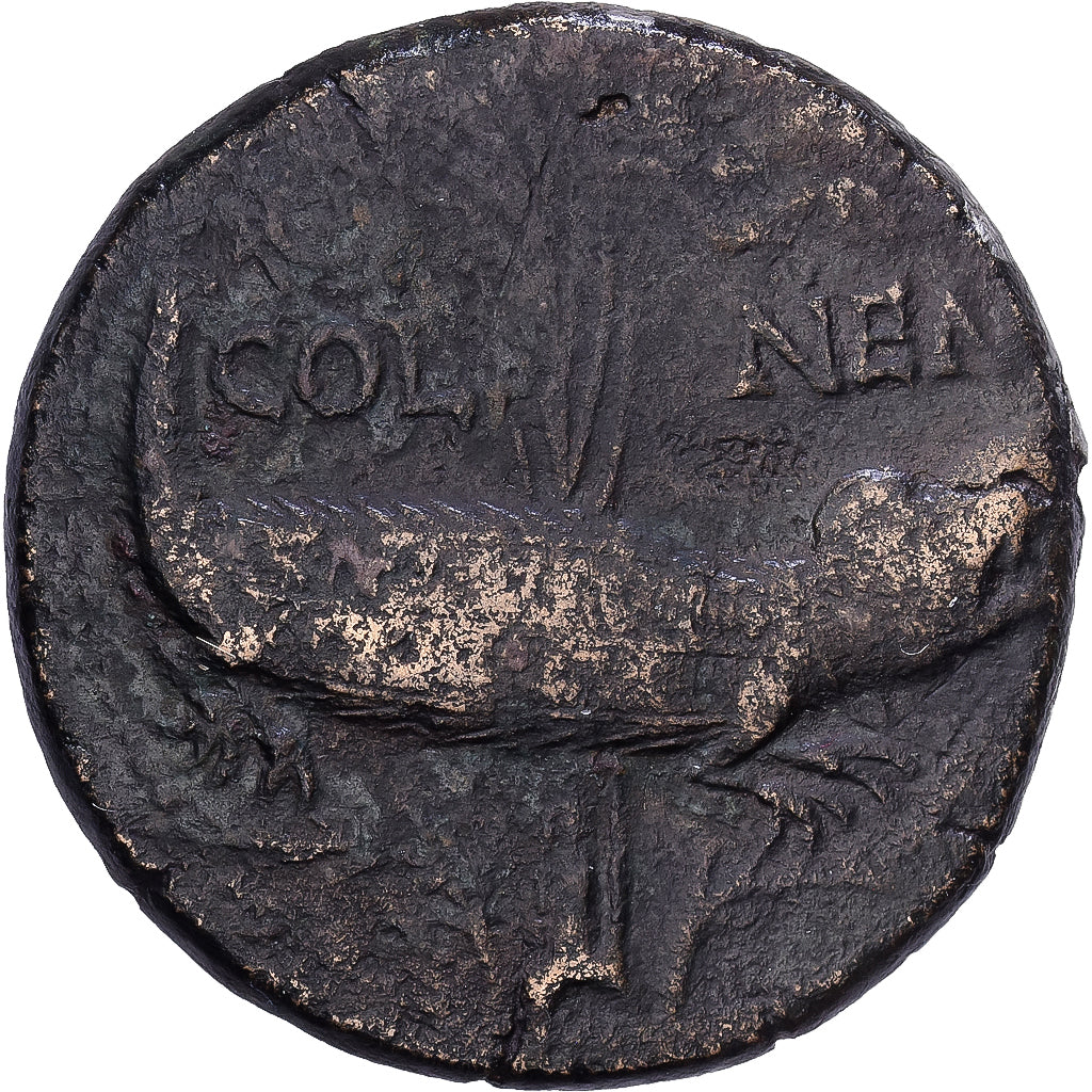 Roman Empire, Augustus & Agrippa, As, 10-14 AD, Nemausus, Bronze, EF(40-45)