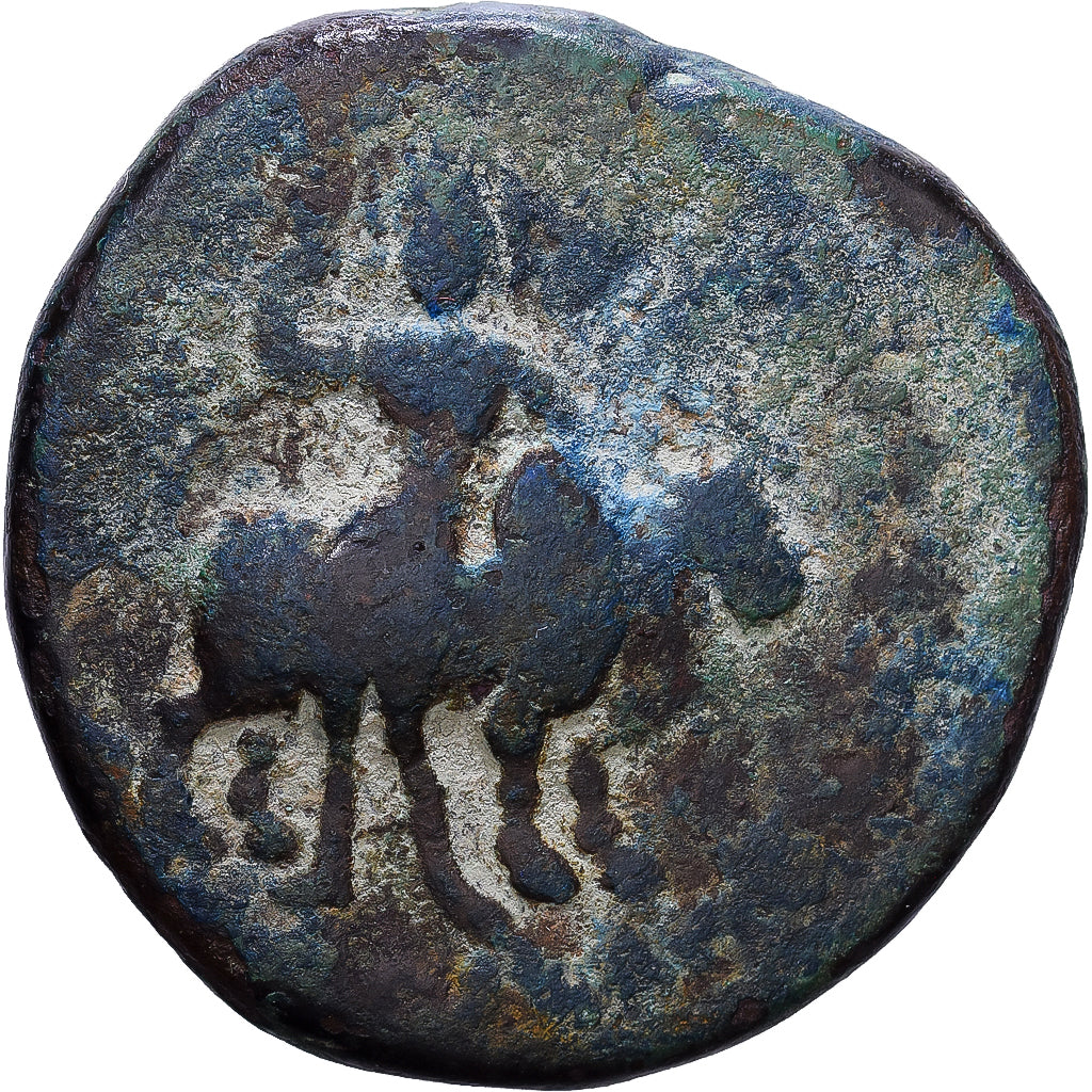 Indo-Scythian Kingdom, Vima Kadphises, Tetradrachm, 100-127/8, Begram, Kupfer