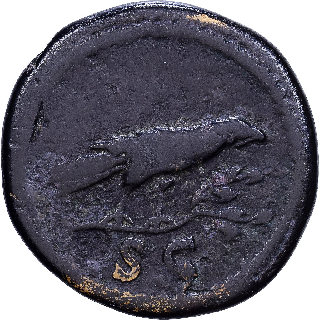 Roman Empire, Domitian, Semis, 95-96, Rome, Brązowy, VF(30-35), RIC:811