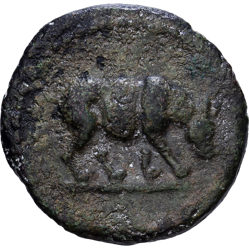 Roman Empire, Domitian, Quadrans, 84-85, Rome, Bronze, VF(20-25), RIC:249
