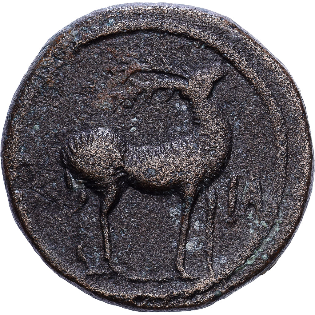 Égypte, Hadrien, Æ Unit, 126-127, Alexandrie, Bronze, TTB, RPC:III-5693