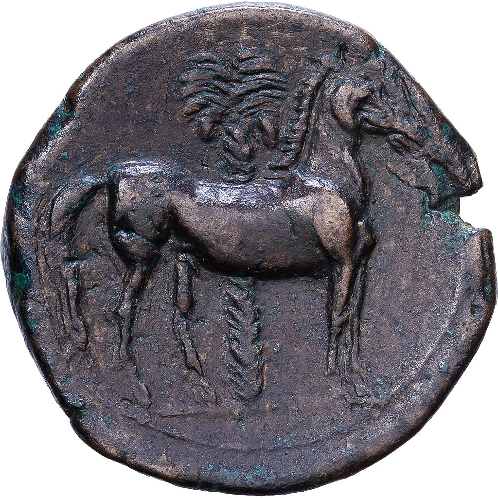 Zeugitana, Bronze Unit, 350-320 BC, Carthage, Brązowy, EF(40-45), SNG-Cop:109