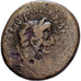 Roman Empire, Tiberius, Semis, 12-14, Lyon - Lugdunum, Bronze, SGE+, RIC:246