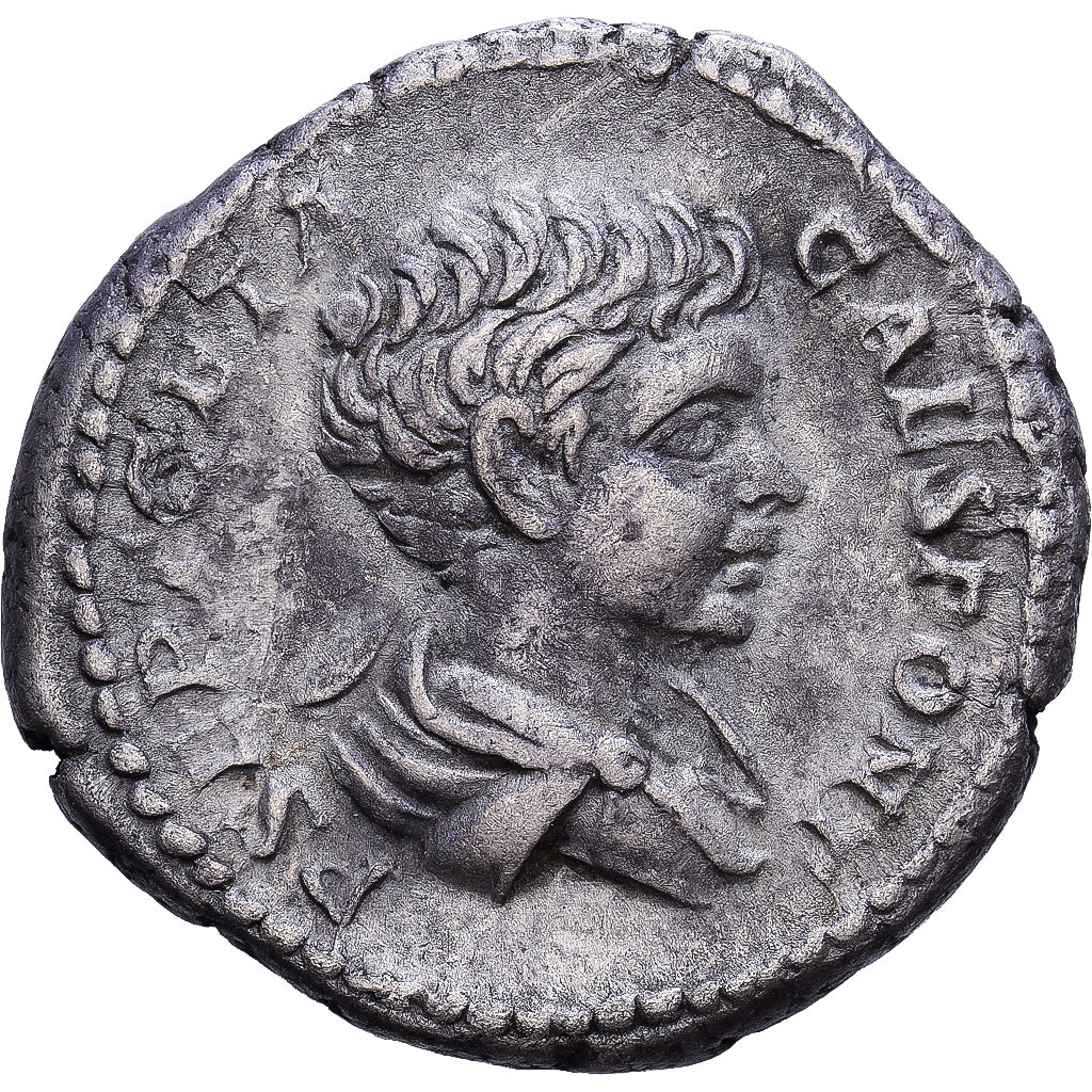 Roman Empire, Geta, Denarius, 200-202, Rome, Srebro, EF(40-45), Cohen:157