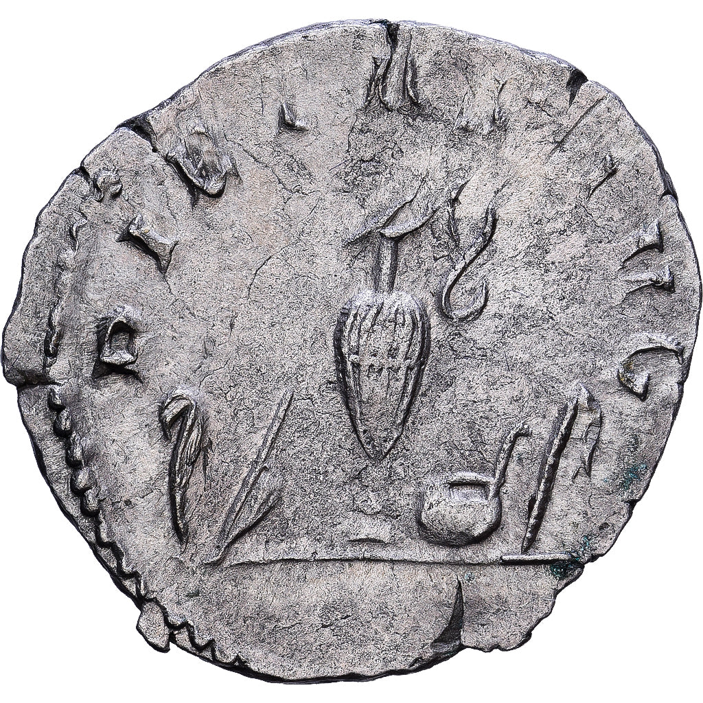 Roman Empire, Saloninus, Antoninianus, 256, Lugdunum, Silber, SS, Cohen:41