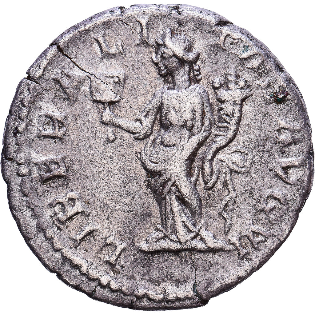 Roman Empire, Septimius Severus, Denarius, 202-210, Rome, Silber, SS, RIC:278a