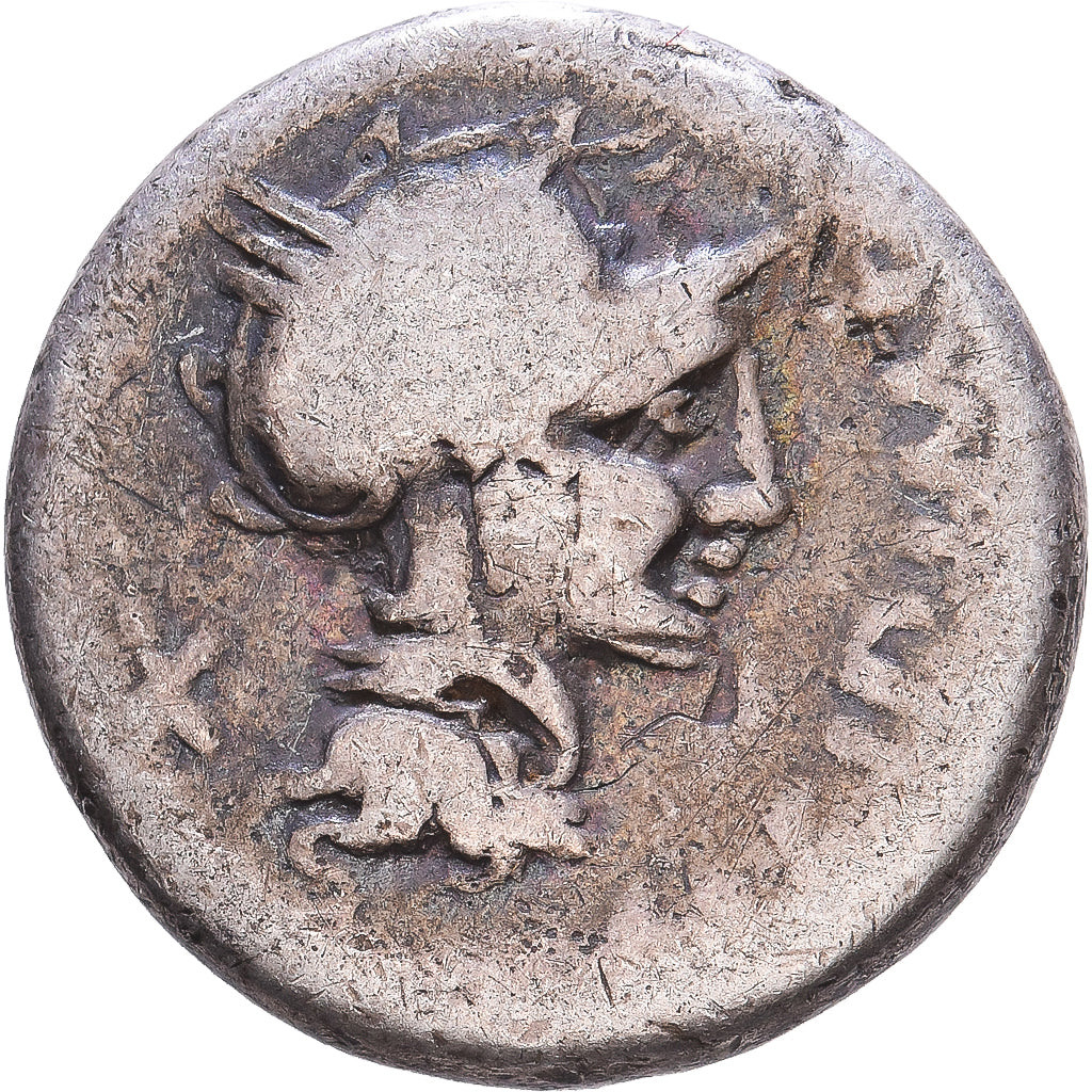 Roman Republic, Cipia, Denarius, 115-114 BC, Rome, Plata, BC, Crawford:289/1