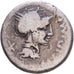 Roman Republic, Cipia, Denarius, 115-114 BC, Rome, Plata, BC, Crawford:289/1