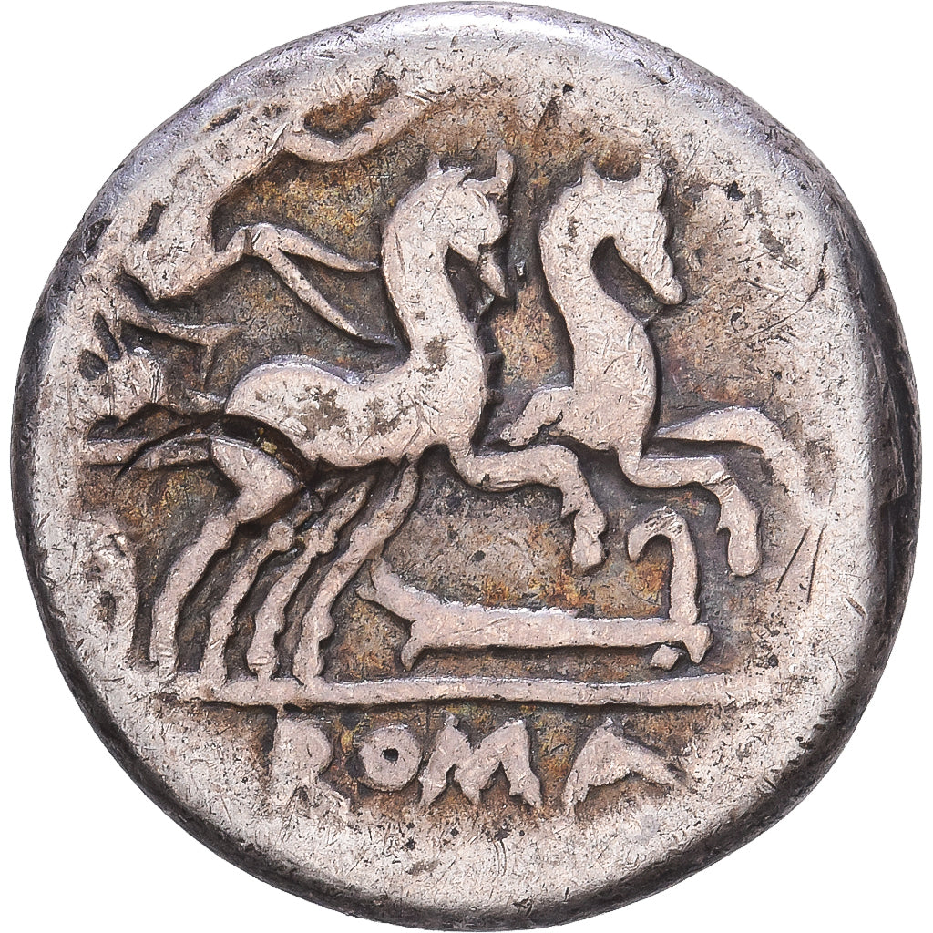 Roman Republic, Cipia, Denarius, 115-114 BC, Rome, Plata, BC, Crawford:289/1